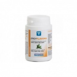 Nutergia Ergyflavon 60 Kapseln