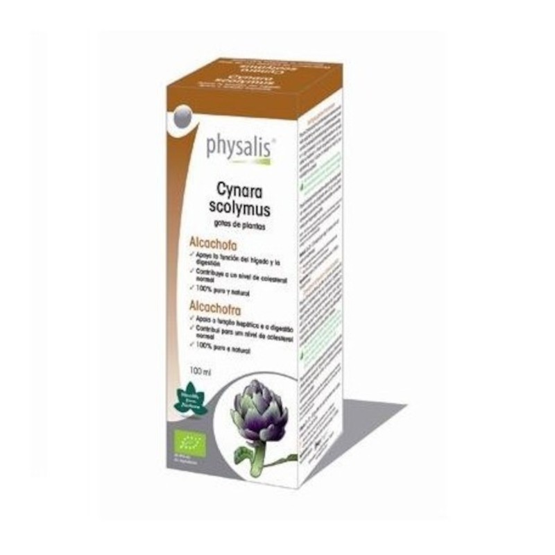 Physalis Artichoke Extract (Cynara Scolymus) 100 ml Bio Physalis Artichoke Extract (Cynara Scolymus) 100 ml Bio