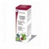 Physalis Extract Hawthorn (Crataegus) 100 ml Bio