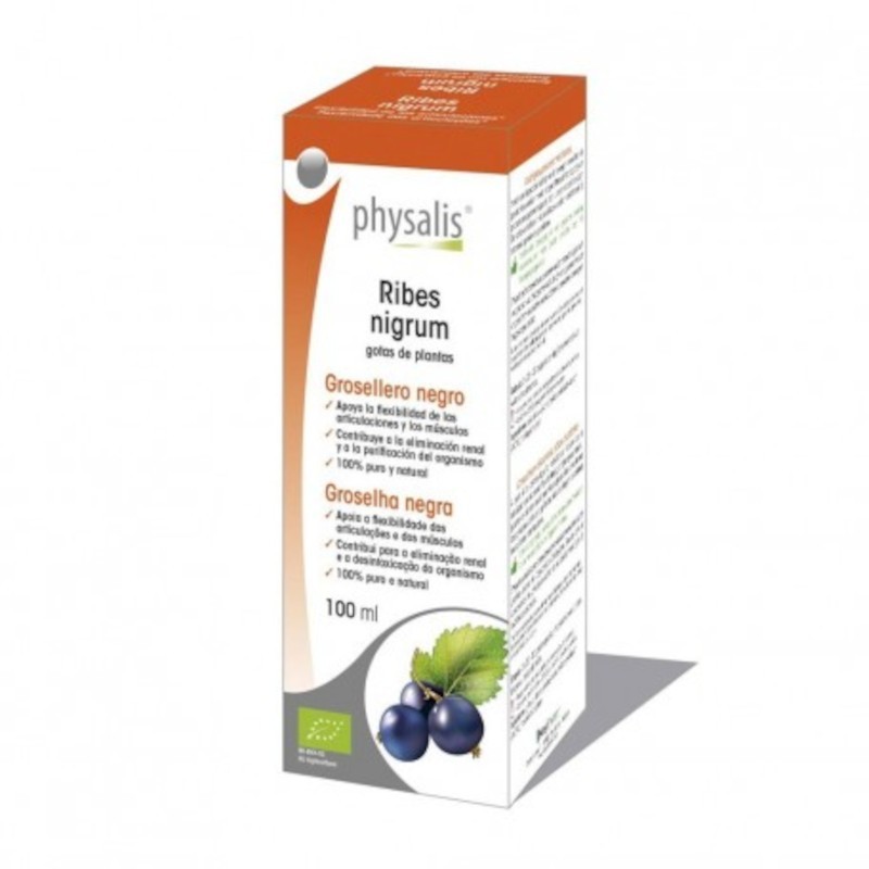 Physalis Black Currant Extract (Ribes Nigrum) 100 ml Bio