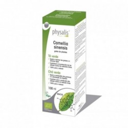 Extrait de Thé Vert Physalis (Camellia Sinensis) 100 ml Bio
