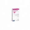 Pileje Lactichoc 20 Capsules