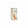 Pinisan Grüner Kaffee + Garcinia 500 ml