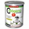 Pinisan Collagène Hydrolysé 300 g