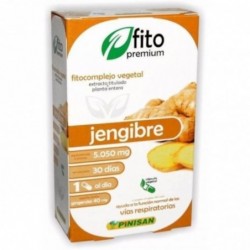 Pinisan Fito Premium Ingwer 30 Kapseln