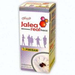 Pinisan Gelée Royale Fraîche 20 gr