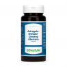 Bonusan Astragalus-Shiitake-Sibirischer Ginseng 90 Kapseln