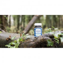 Bonusan Coenzym B12 1500 Mcg Plus 90 Tabletten