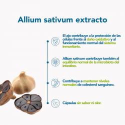 Bonusan Allium Sativum-Extrakt 60 Kapseln