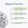 Bonusan Magnesan Forte Plus 60 Tabletten