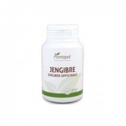 Plantapol Ingwer 600 mg 60 Kapseln