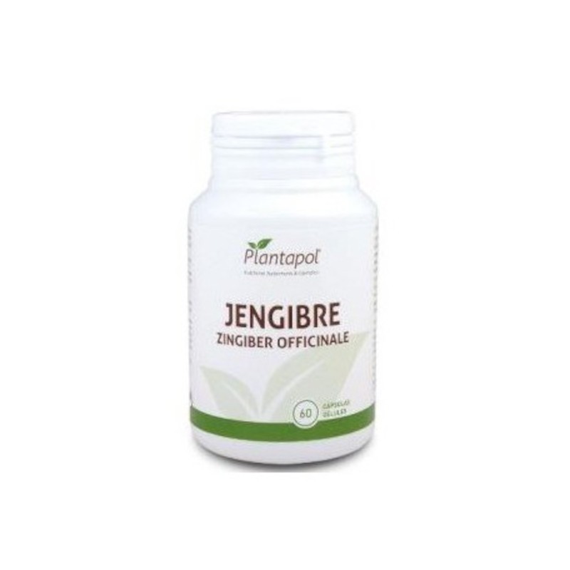 Plantapol Ingwer 600 mg 60 Kapseln