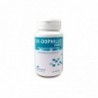 Plantapol Six Dophilus Forte 60 Kapseln