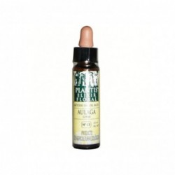 Plantis Aulaga Nº13 Elixir Floral (Dr. Bach) Eco 10 ml