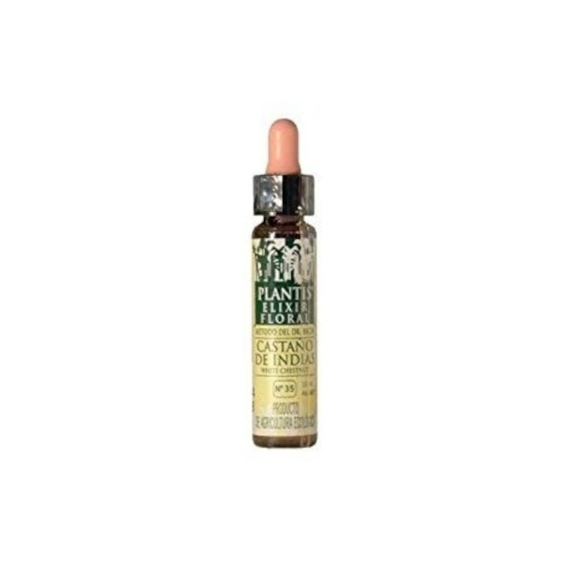 Plantis Horse Chestnut-35 Eco Floral Elixir (Dr. Bach) 10 ml