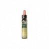 Plantis Horse Chestnut-35 Eco Floral Elixir (Dr. Bach) 10 ml