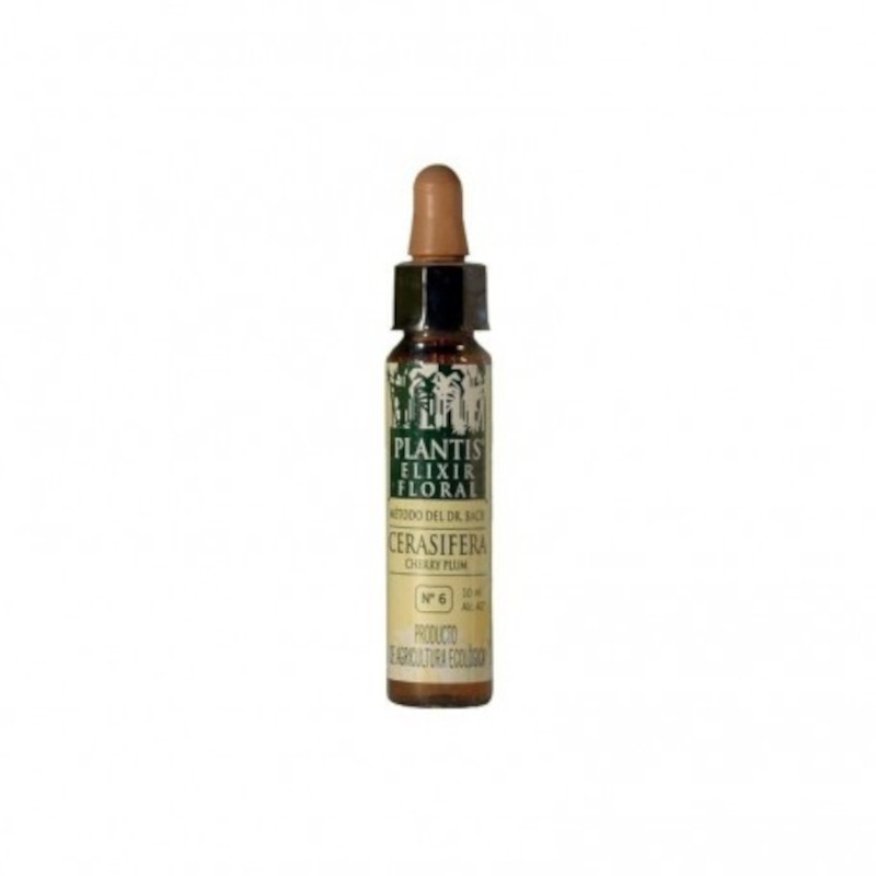Plantis Ciliegia Prugna Plantis N. 6 10 ml Plantis Ciliegia Prugna Plantis N. 6 10 ml