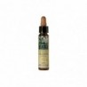 Plantis Ciliegia Prugna Plantis N. 6 10 ml