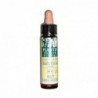 Plantis Elisir Floreale Ceratostigma Nº5 Eco 10 ml
