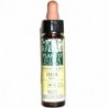 Plantis Floral Elixir Beech No. 3 Eco 10 ml