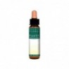 Plantis Floral Elixir Apple Tree Nº10 Eco 10 ml