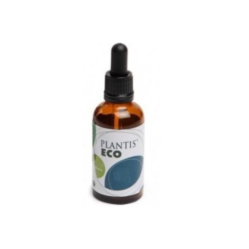 Plantis Dandelion Extract Eco Alcohol Free 50 ml Plantis Dandelion Extract Eco Alcohol Free 50 ml