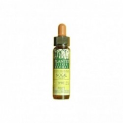 Plantis Walnut-33 Eco Floral Elixir (Dr. Bach) 10 ml