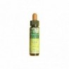 Plantis Walnut-33 Eco Elixir Floreale (Dr. Bach) 10 ml