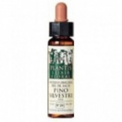 Plantis Scots Pine-24 Eco Floral Elixir (Dr. Bach) 10 ml