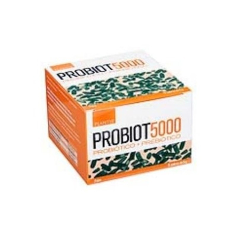 Plantis Probiot 5000 (Probiotikum) 15 Beutel à 5 gr Plantis Probiot 5000 (Probiotikum) 15 Beutel à 5 gr