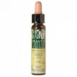 Plantis Sauce-38 Eco Alcohol-Free Floral Elixir (Dr. Bach) 10 ml