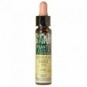 Plantis Sauce-38 Eco Alcohol-Free Floral Elixir (Dr. Bach) 10 ml