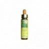 Plantis Verbena-31 Elisir Floreale Eco (Dr. Bach) 10 ml