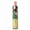 Plantis Vid-32 (Dominante, Buen Líder) Elixir Floral Eco (Dr. Bach) 10 ml