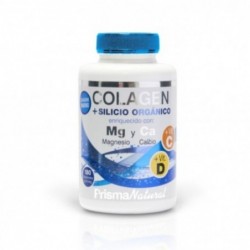 Prisma Natürliches Meereskollagen + organisches Silizium 180 Tabletten