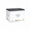 Prisma Natural Glutamina + Ribose + MSM 15 Sticks