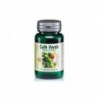 Robis Green Coffee 60 Capsules
