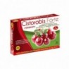Robis Cisti Forte 600 mg 20 Capsule