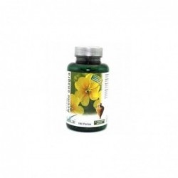 Sakai Borage + Evening Primrose 180 Pérolas
