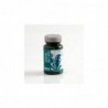 Sakai Dandelion 100 Tablets