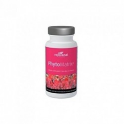 Salengei Phytomatrix 60 Tabletten