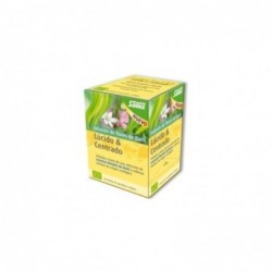 Infusion aux fleurs de Bach Salus Lucide et Concentrée 15 Sachets