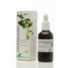 Extrait de myrtille Soria Natural 50 ml 21st Century