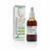 Soria Natural Artemisia Extract 50 ml 21st Century