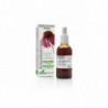 Extrait d'échinacée Soria Natural 50 ml Xxi