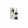 Soria Natural Extract Sarsaparilla Xxi 50ml