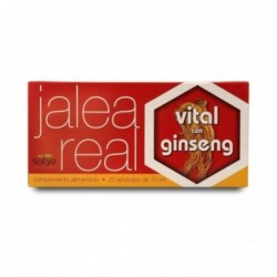 Sotya Beslan Jalea Real Vital con Ginseng 10 ml 20 Ampollas