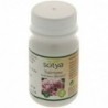 Sotya Beslan Baldrian 600 mg 60 Kapseln