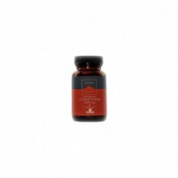 Terranova Cordiceps 500 mg 50 Gélules