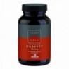 Mirtillo di Terranova 360 mg 50 capsule